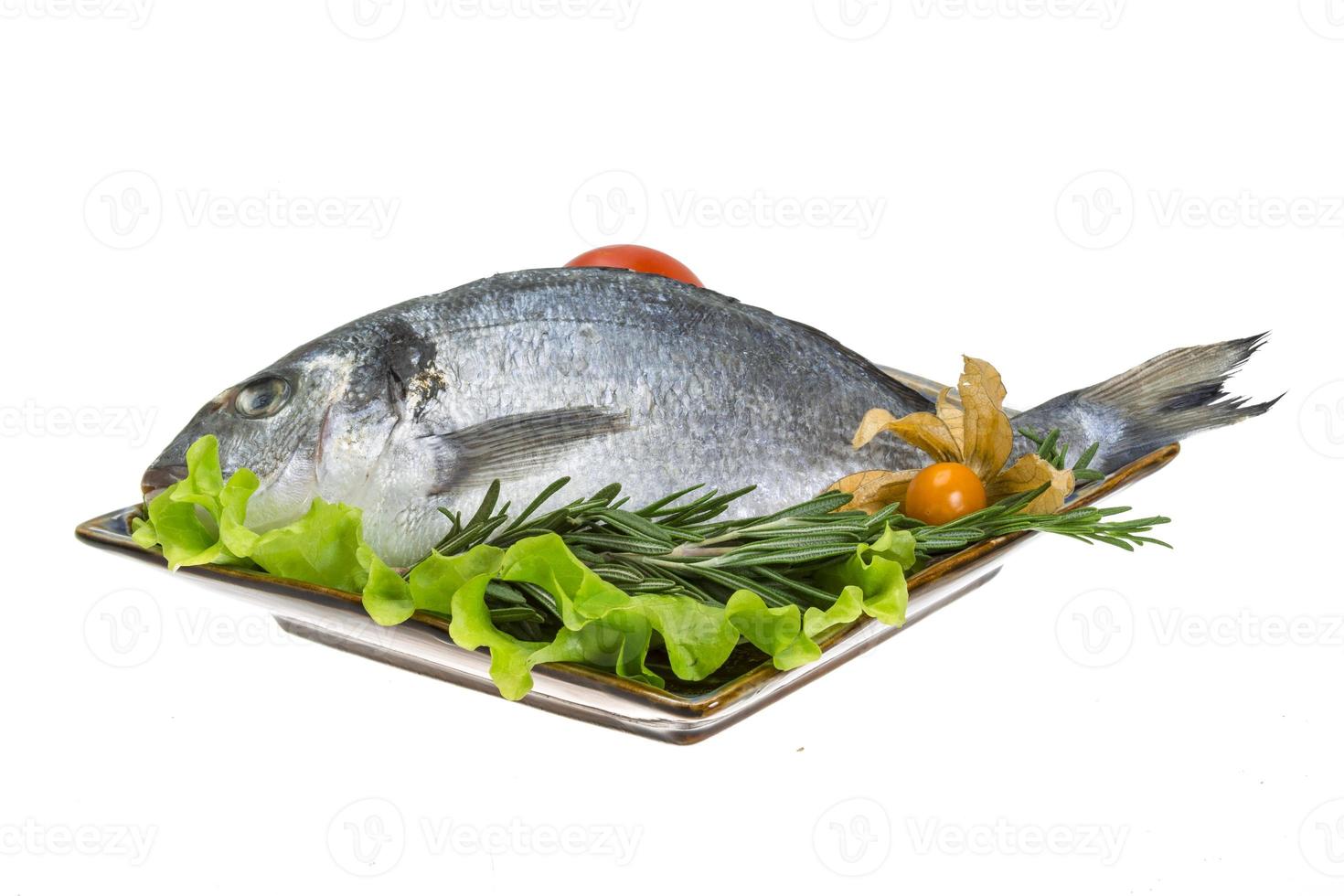 Raw dorado with herbs on the plate and white background photo