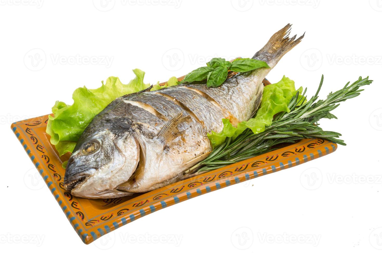 dorada a la parrilla en el plato y fondo blanco foto