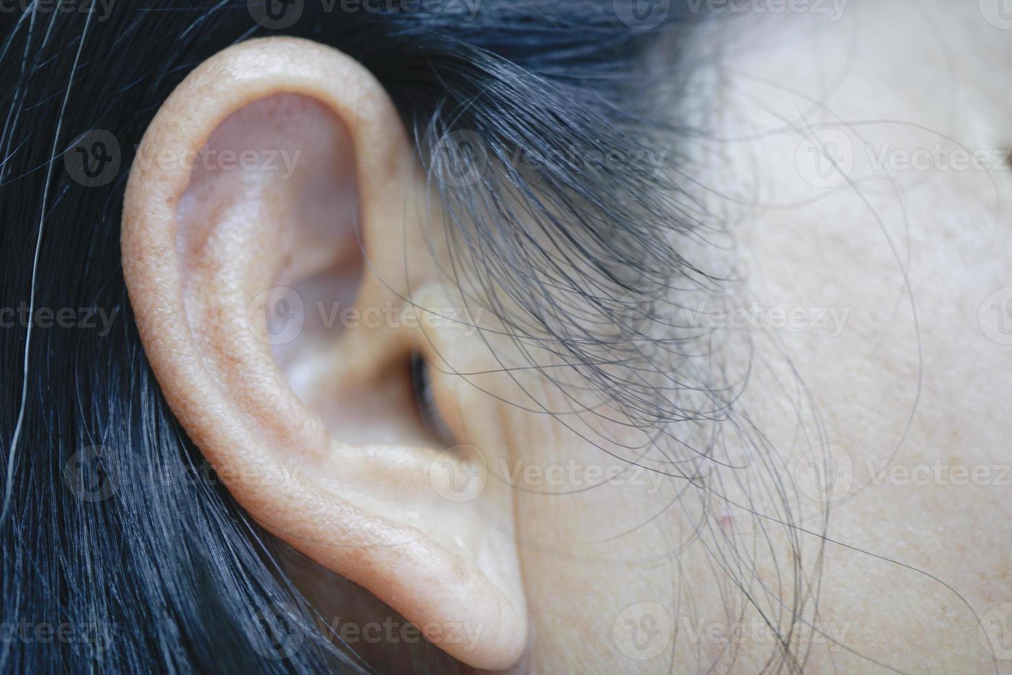 Close up ears Asian woman. photo