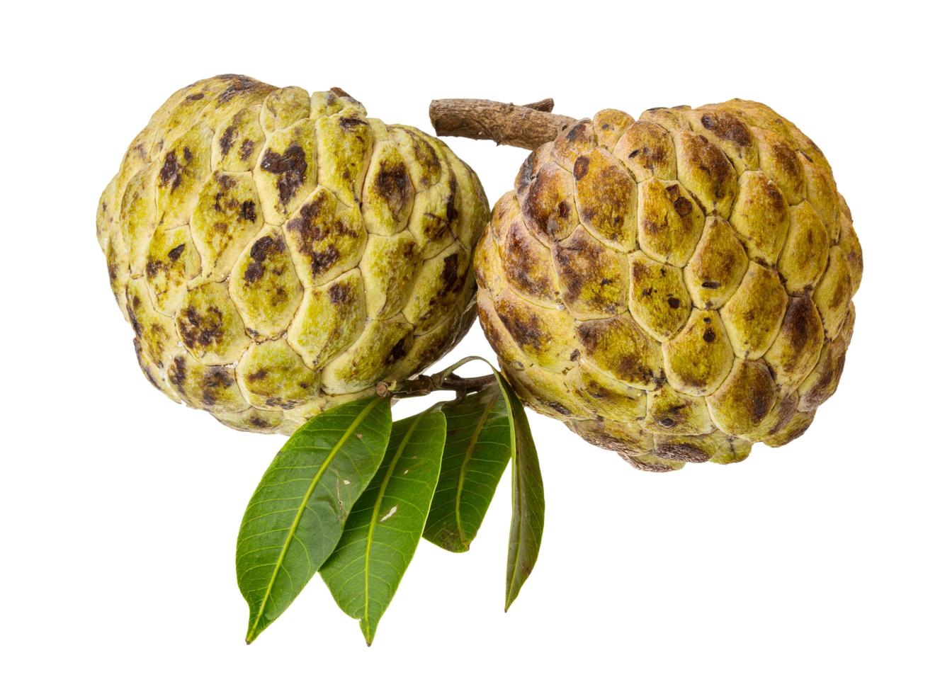 Annona on white background 12063316 Stock Photo at Vecteezy