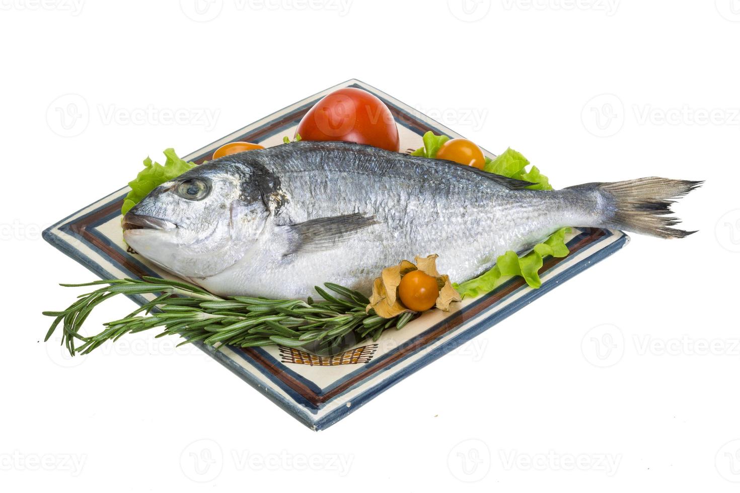 Raw dorado on the plate and white background photo