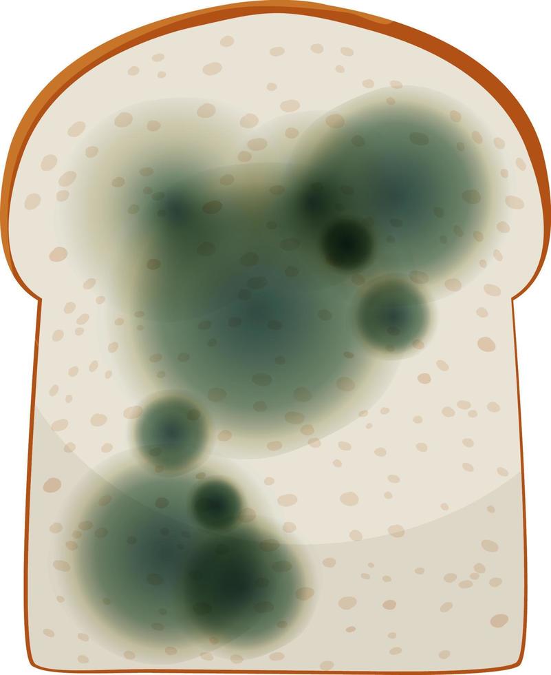 un trozo de pan con moho vector