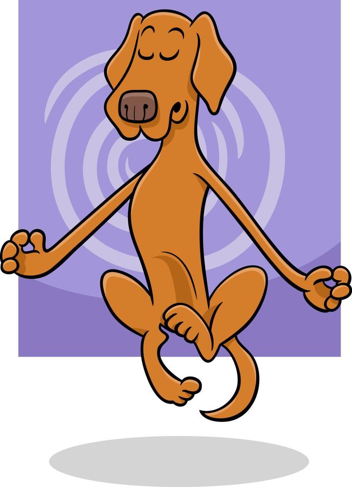 cartoon meditating and levitating dog character vector