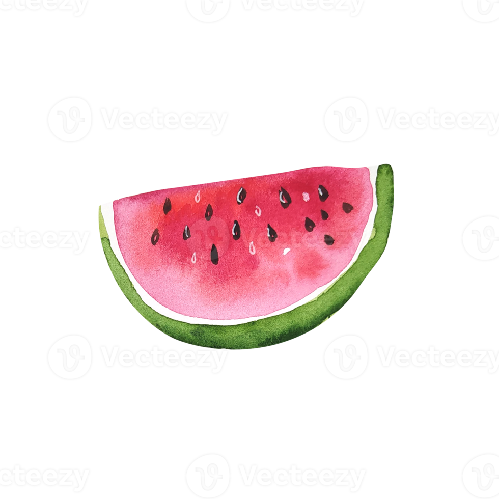 Watercolor fruit slice of watermelon png