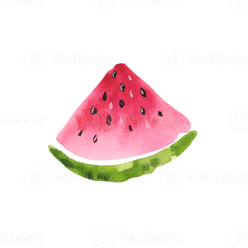 waterverf fruit plak van watermeloen png