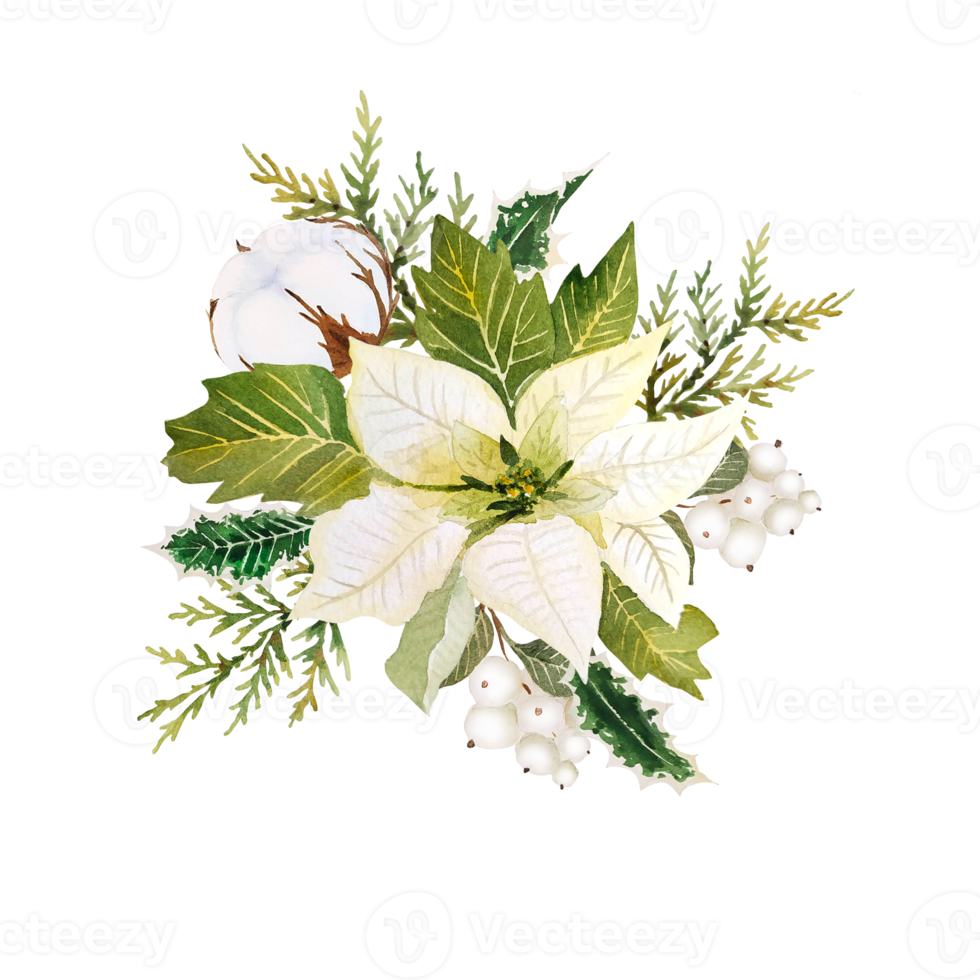 Watercolor christmas clipart png