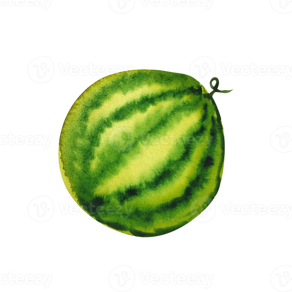 Watercolor fruit slice of watermelon png