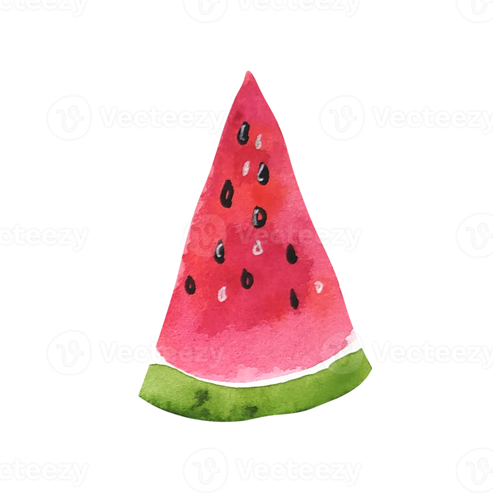 Watercolor fruit slice of watermelon png