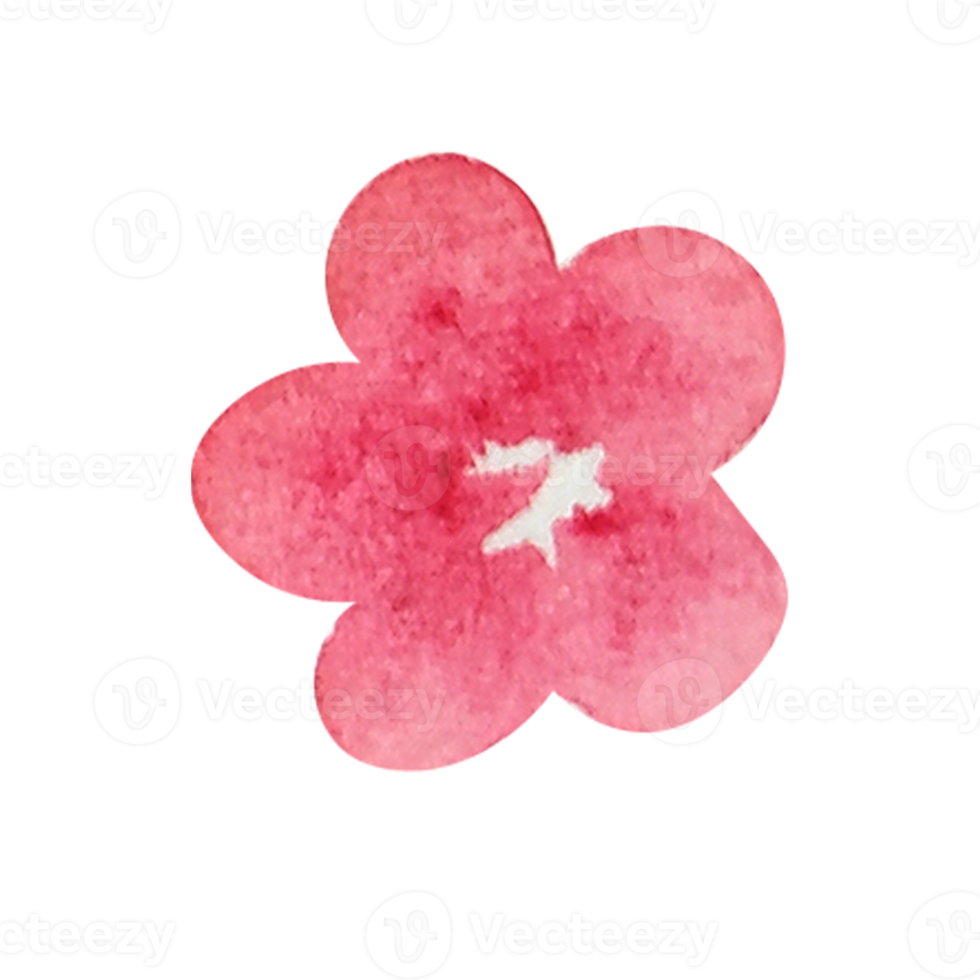Watercolor floral simple element png