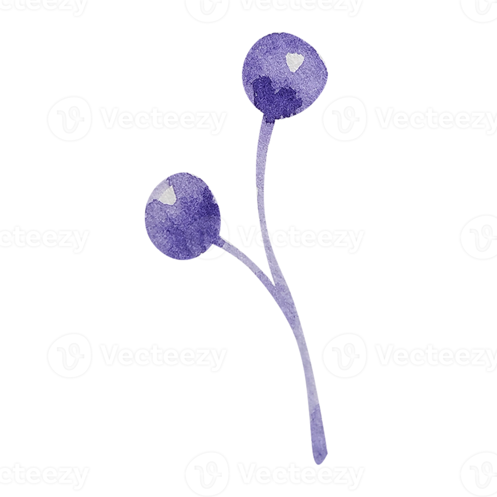 waterverf bloemen gemakkelijk element png