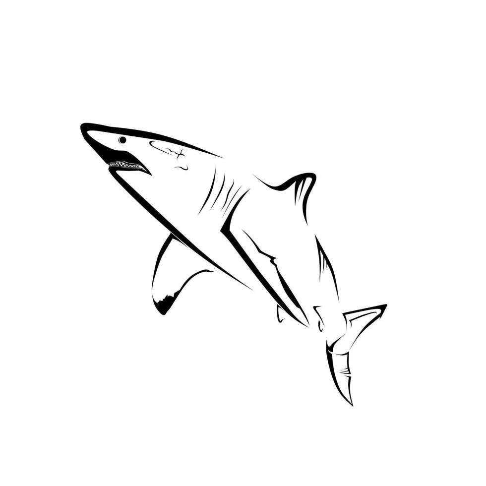 vector image of a shark character