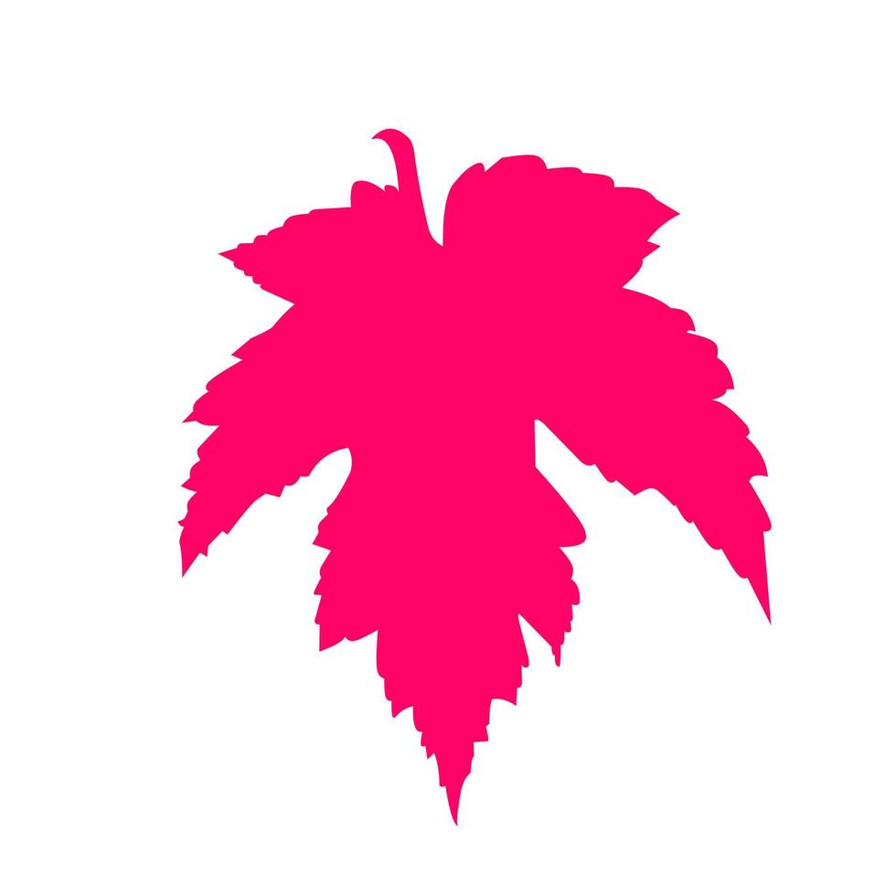 red maple leaf vector