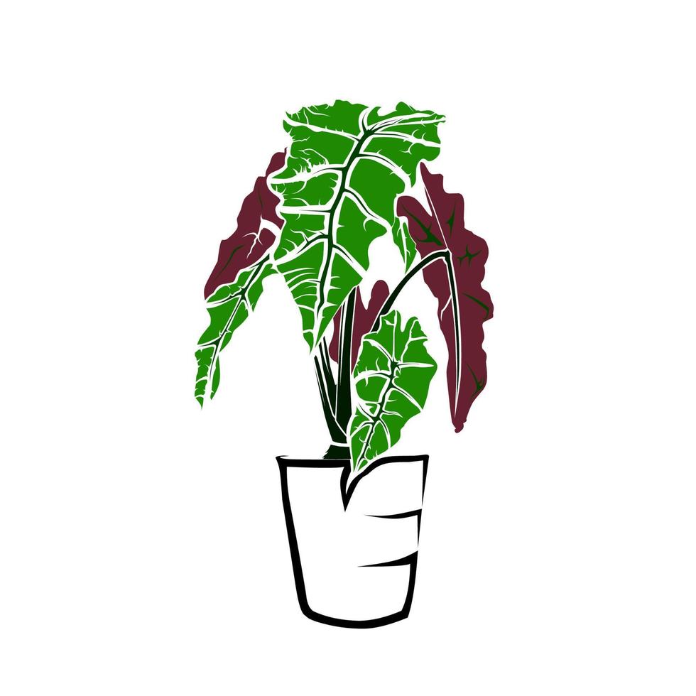 plant in a pot vector