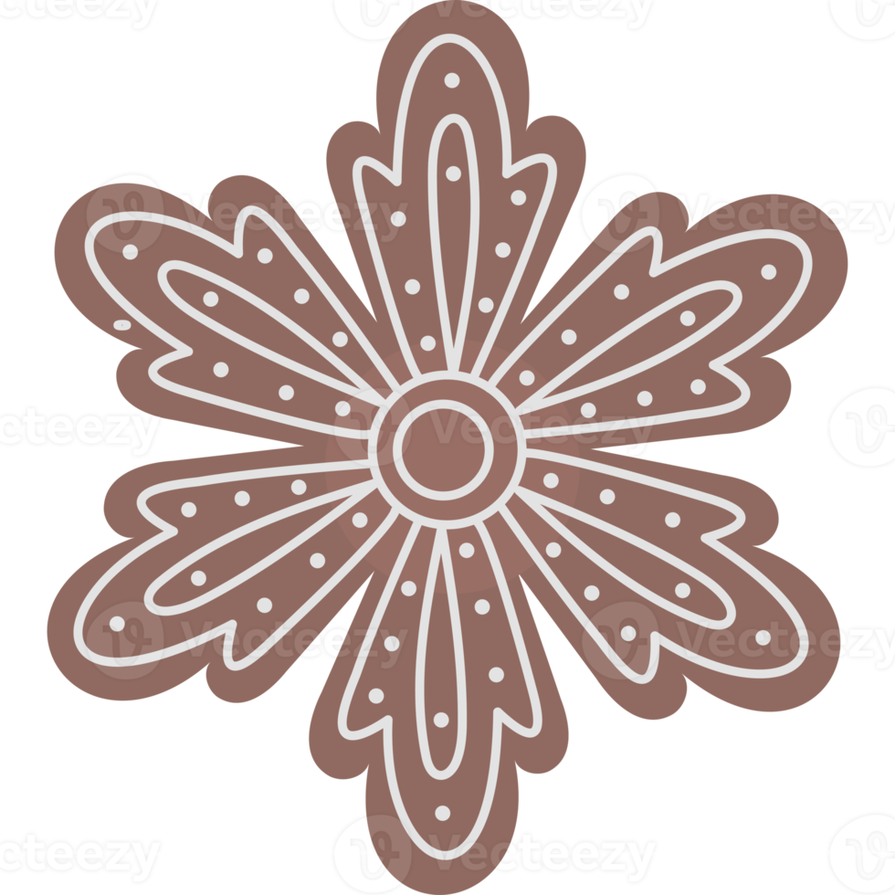 Gingerbread. snowflake. Christmas traditional cookies png