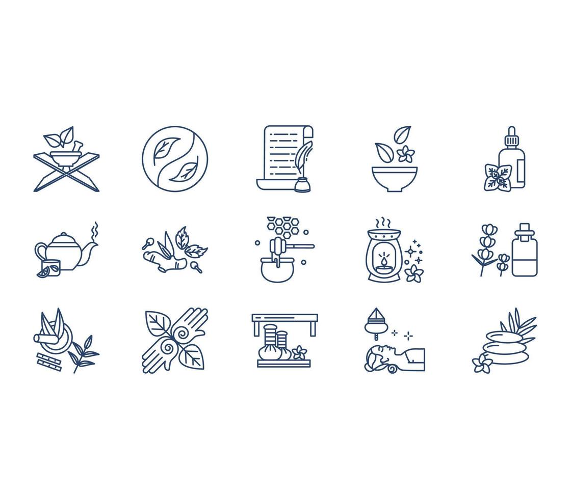 Ayurveda treatment icon set vector