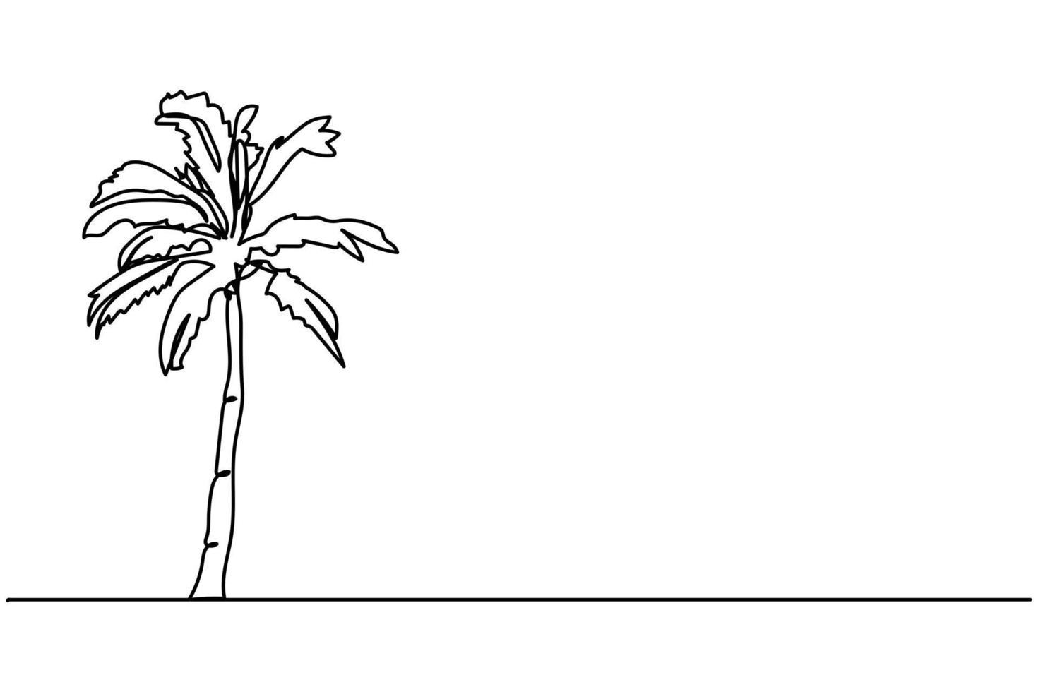 coconut tree single continuous line vector illustration