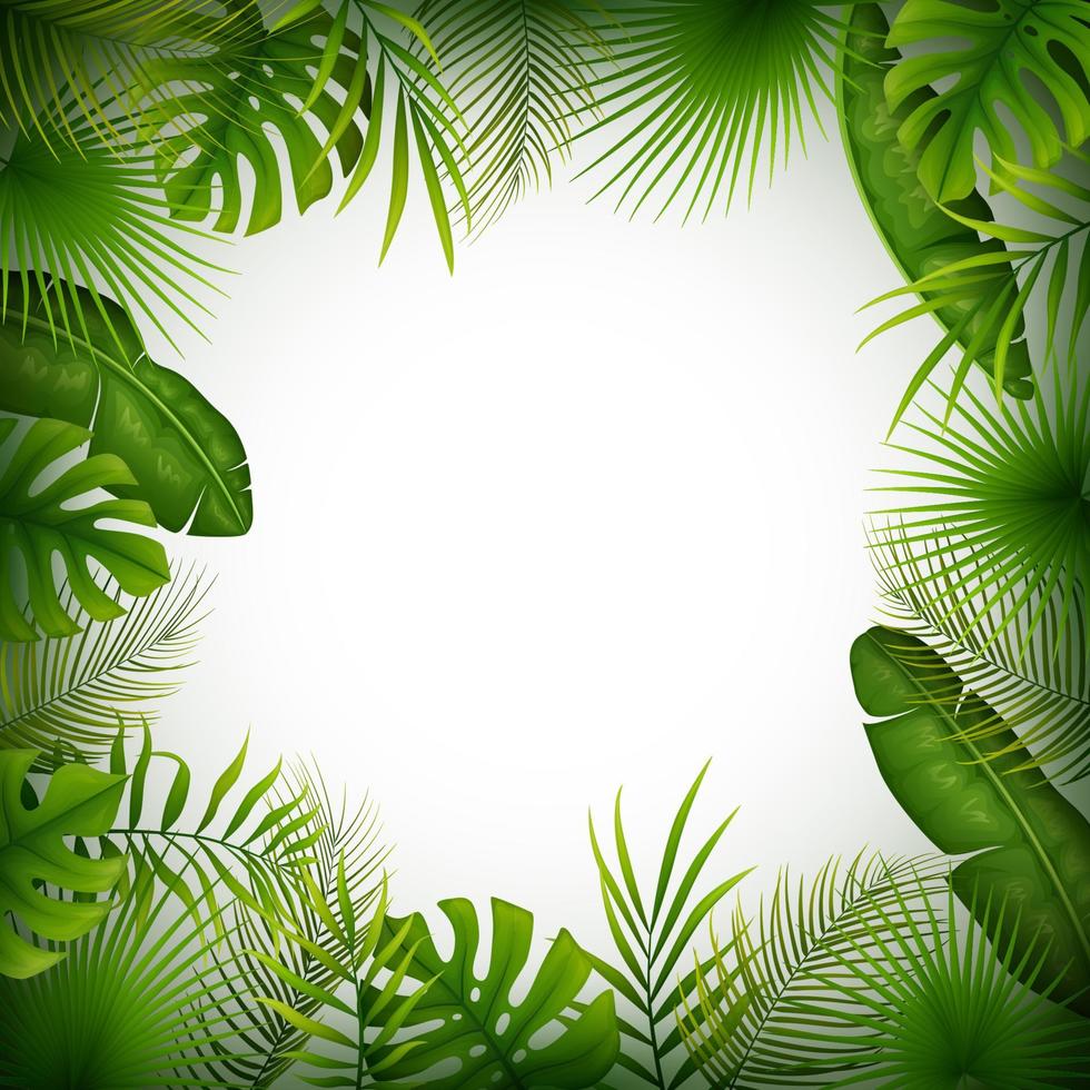 Tropical jungle background with palm trees and leaves on white background vector