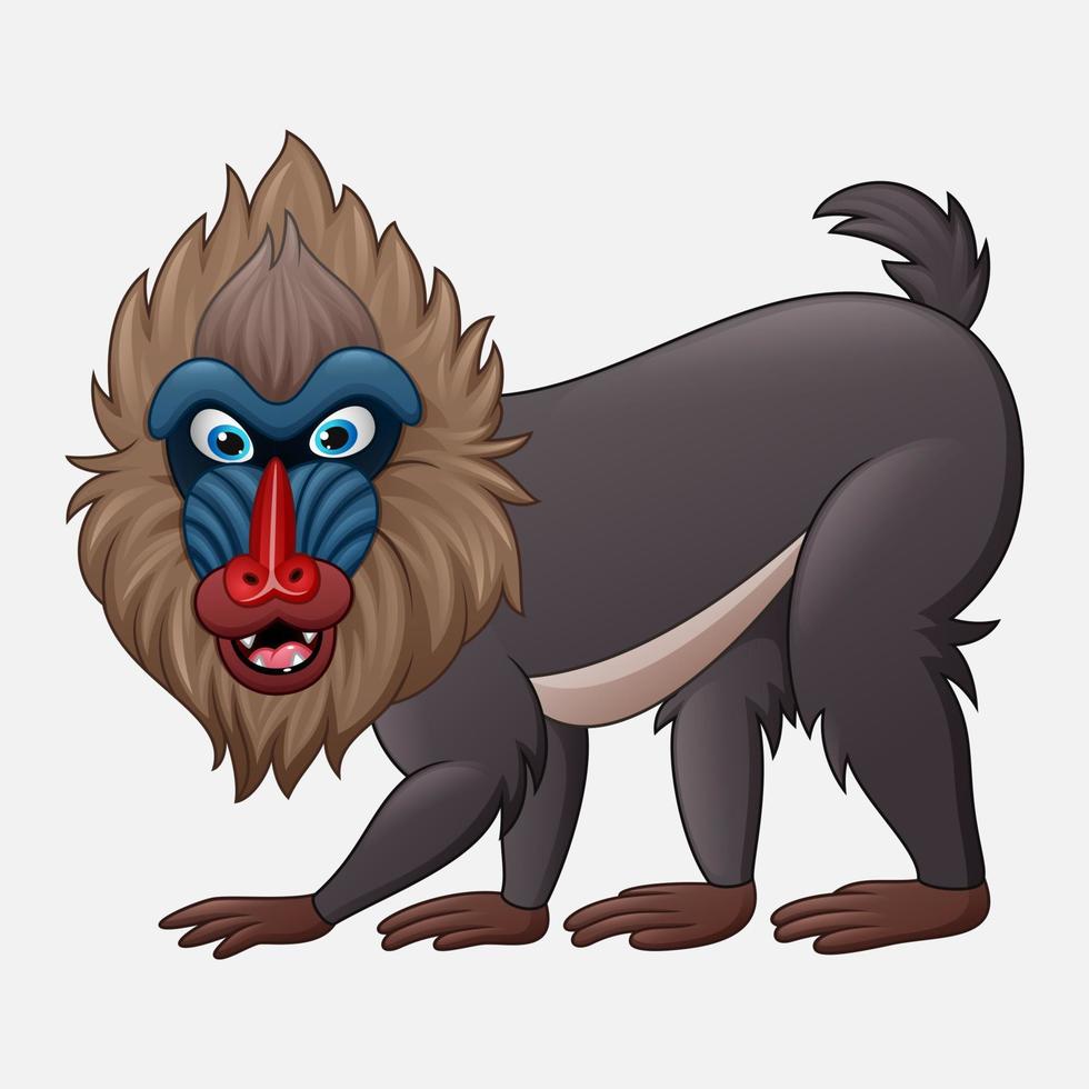 Cartoon mandrill baboon isolated on white background vector