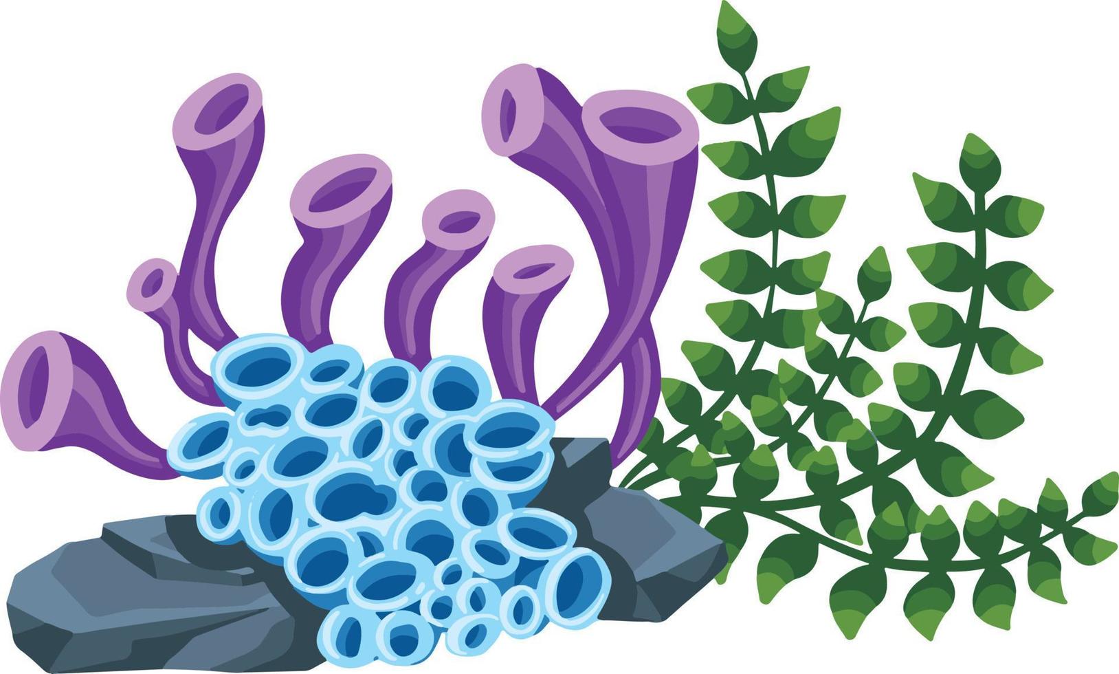 Set of marine vector plants, hand drawn algae