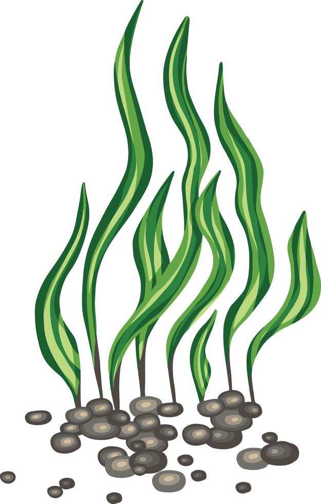 Set of marine vector plants, hand drawn algae