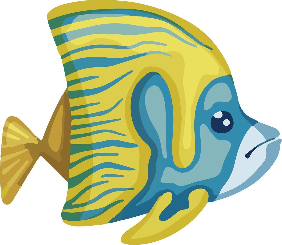 sea butterfly fish symbol  drawn vector