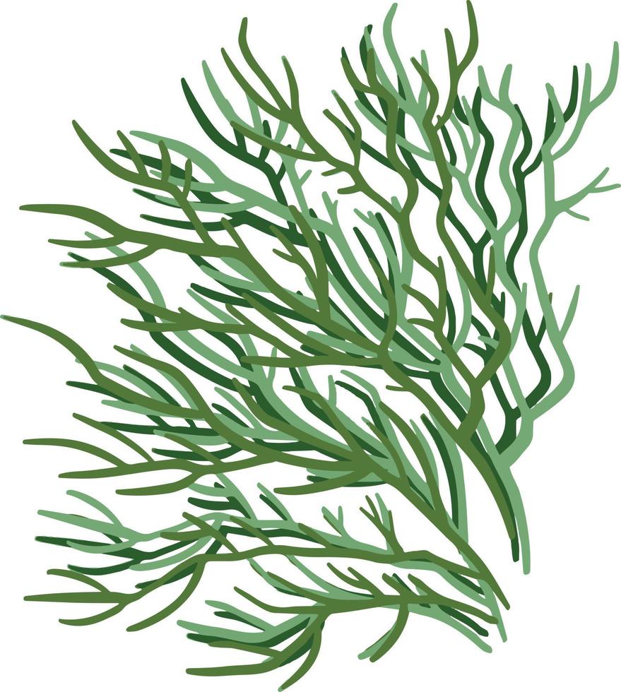 conjunto de plantas vectoriales marinas, algas dibujadas a mano vector