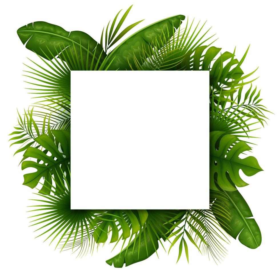 Tropical jungle background with palm trees and leaves on white background vector