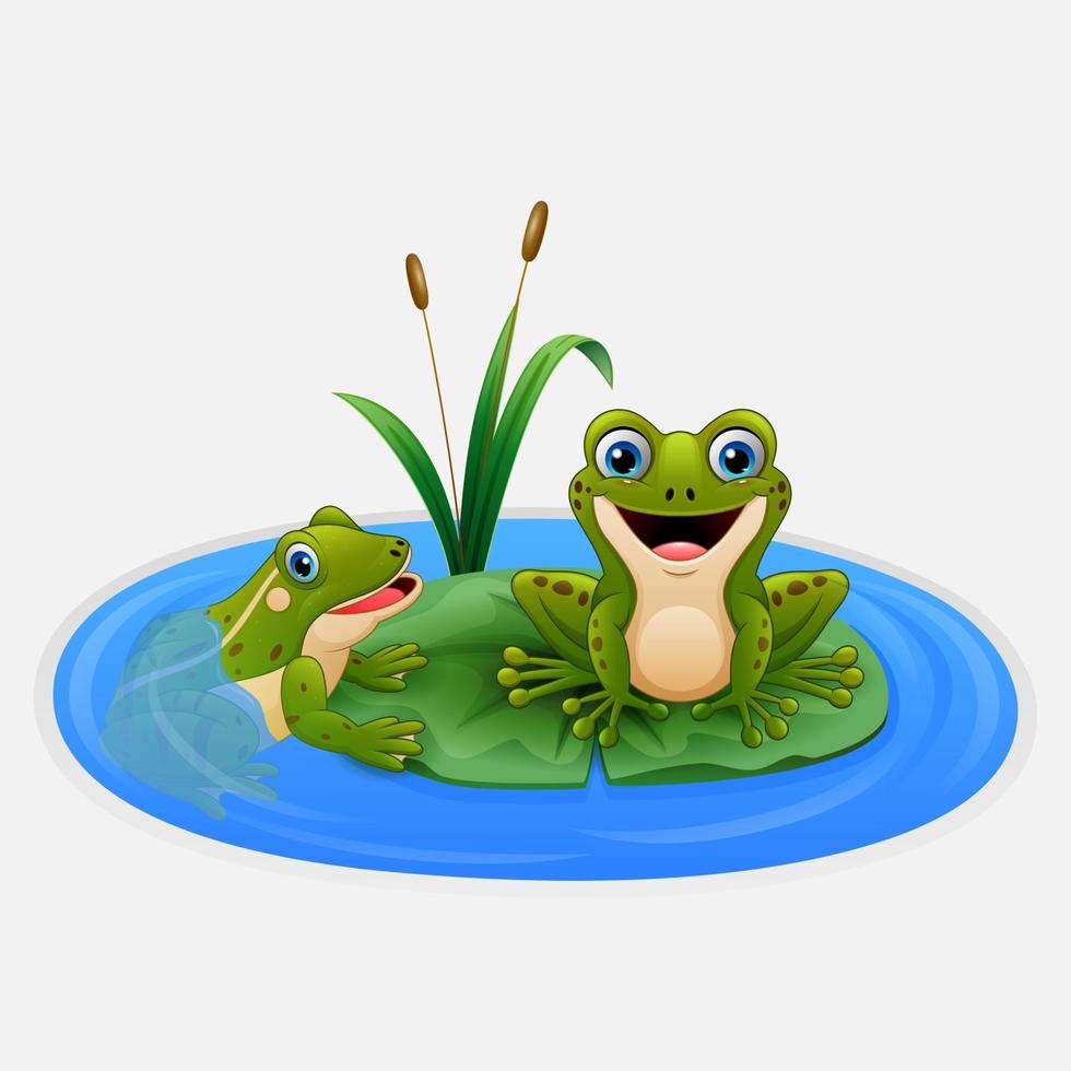 Cute frogs on a leaf in the pond vector