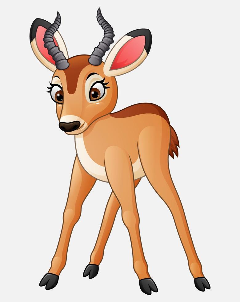 impala de dibujos animados aislado sobre fondo blanco vector