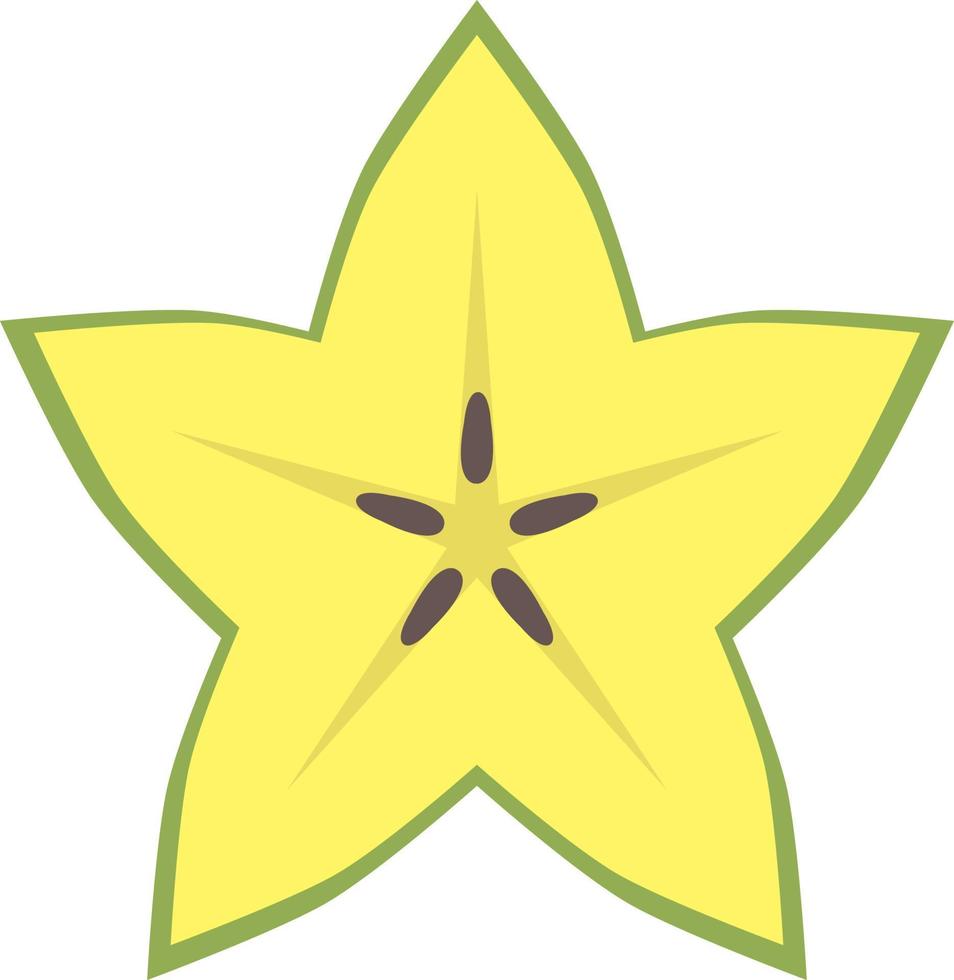 Star fruit icon, flat illustration vector