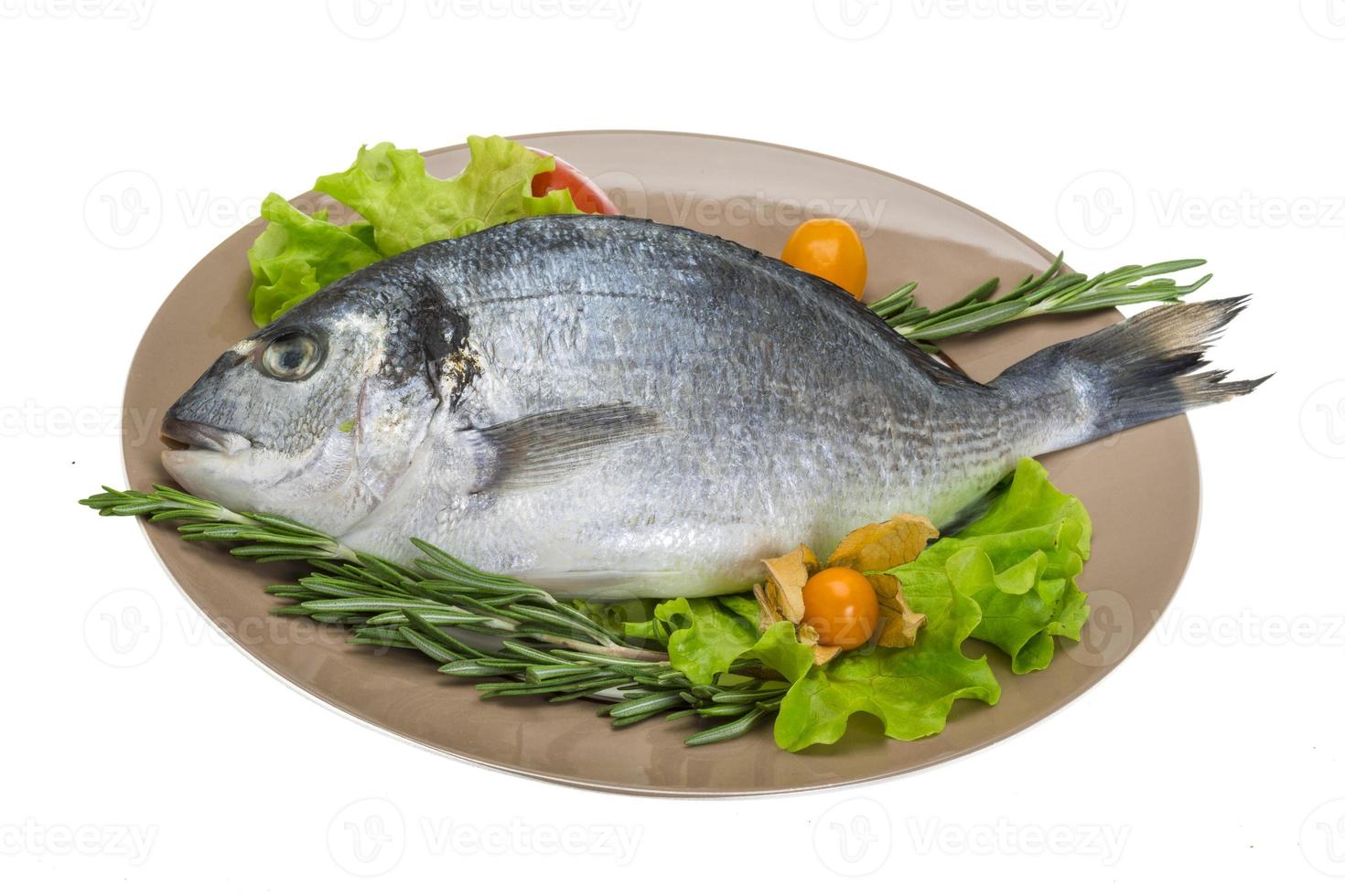 Raw dorado on the plate and white background photo