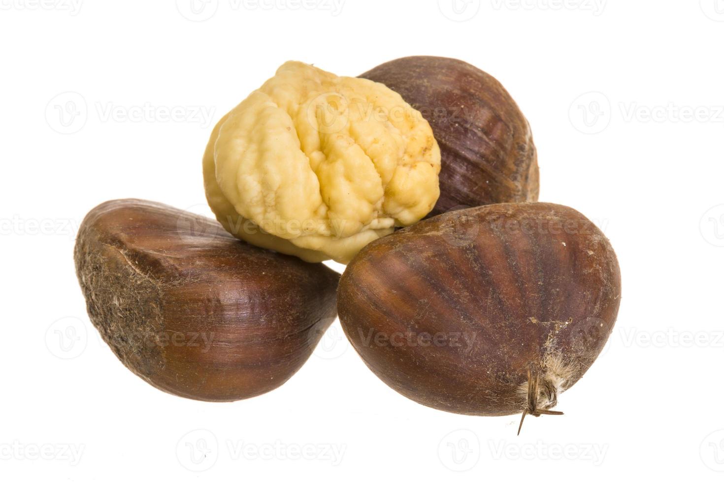 Chestnut on white background photo