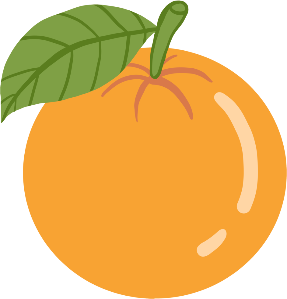 doodle frihand skissritning av orange frukt. png