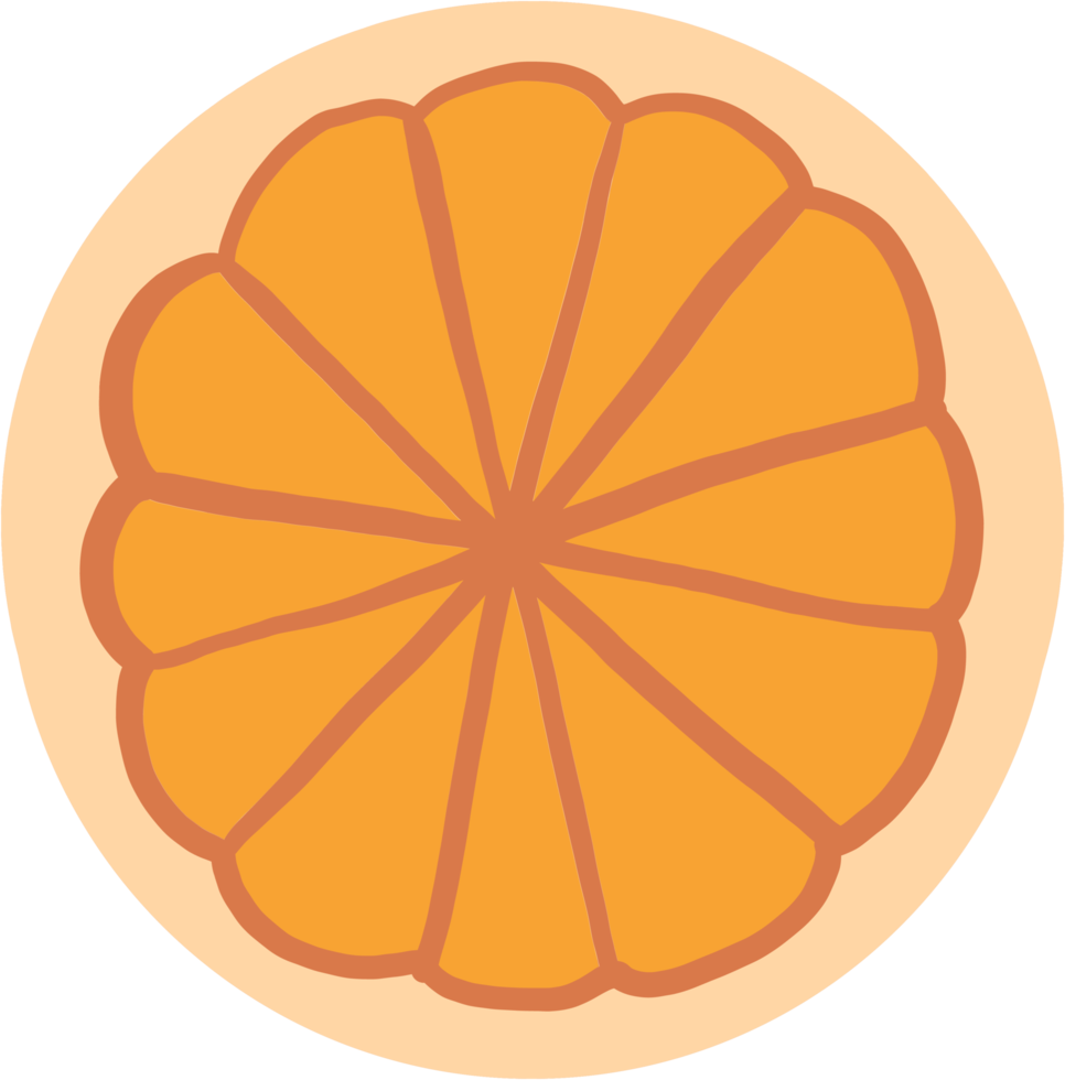 doodle uit de vrije hand schets tekening van oranje fruit. png