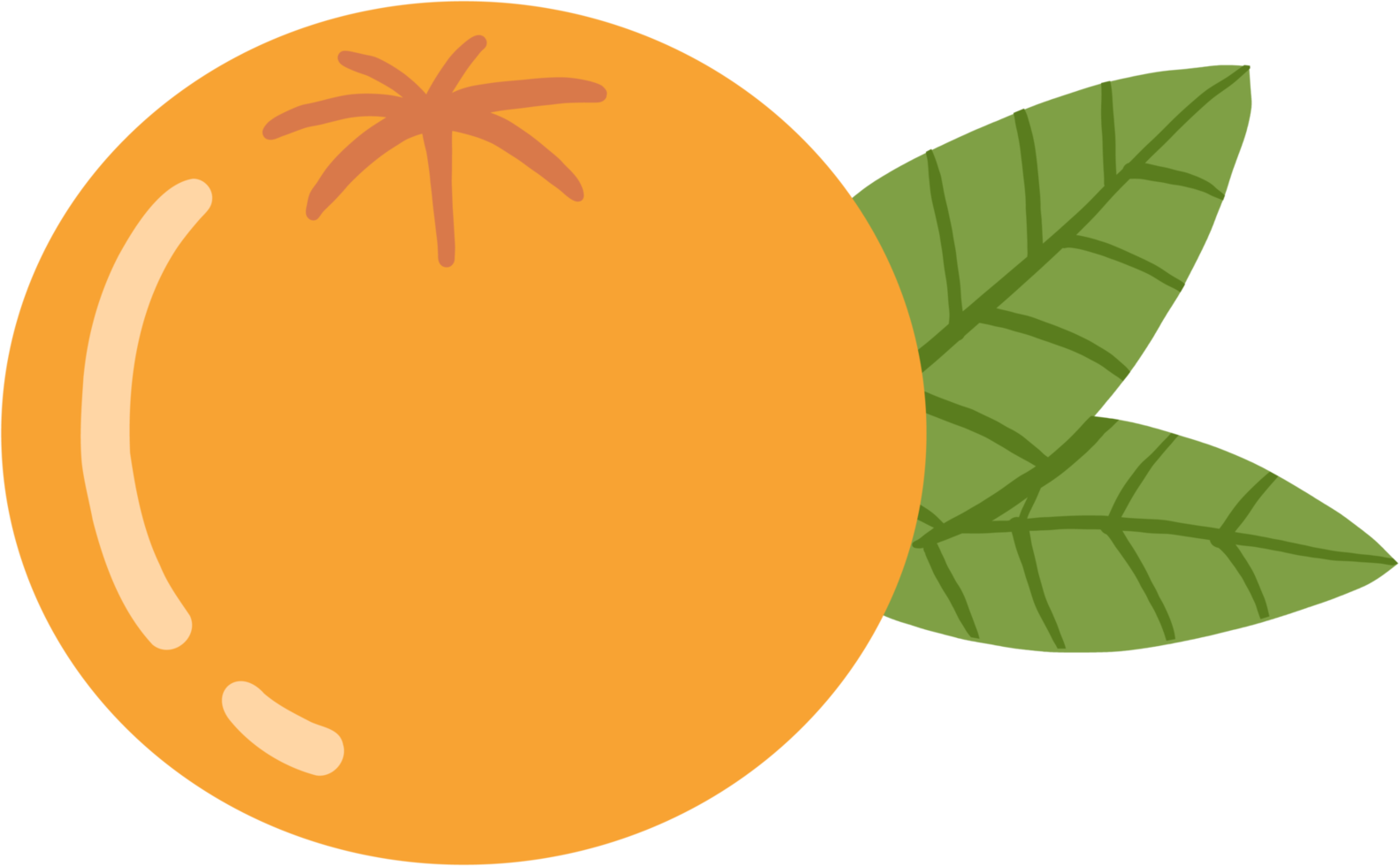 doodle uit de vrije hand schets tekening van oranje fruit. png