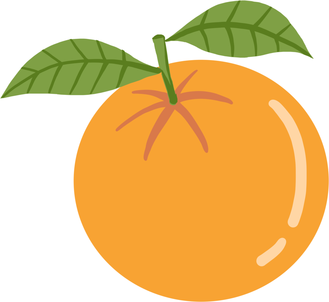 doodle frihand skissritning av orange frukt. png