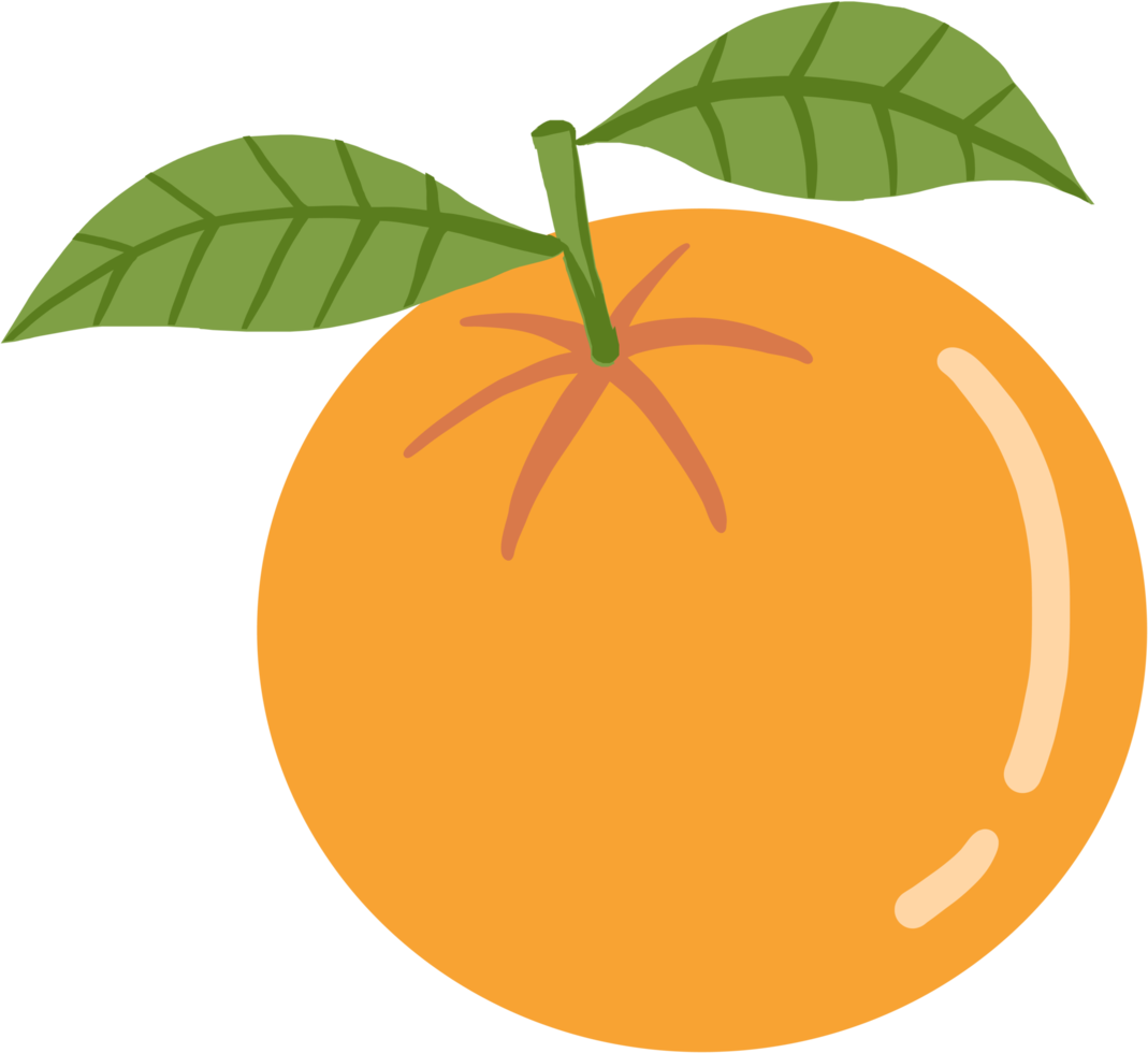 Doodle dibujo a mano alzada de fruta naranja. png