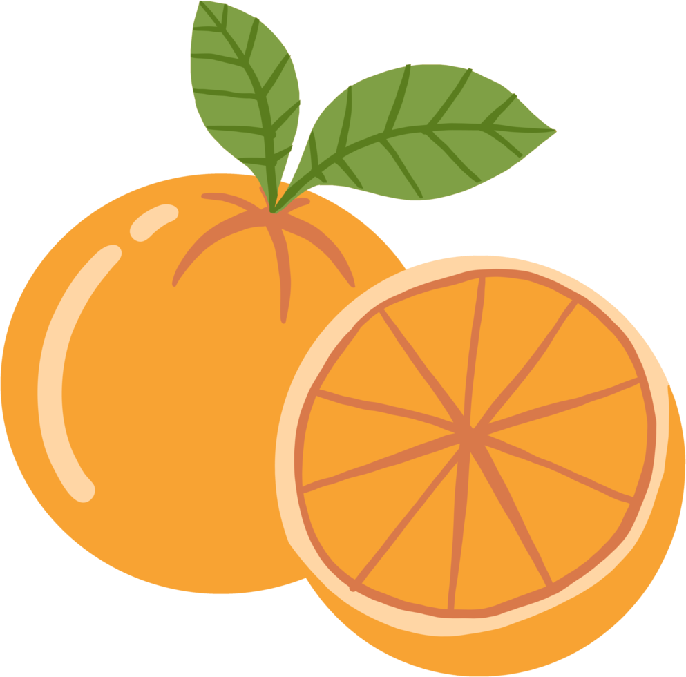 Doodle dibujo a mano alzada de fruta naranja. png