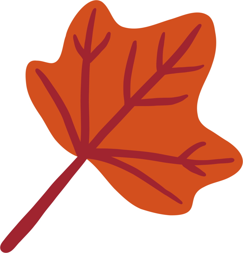 simplicity maple leaf freehand drawing flat design. png