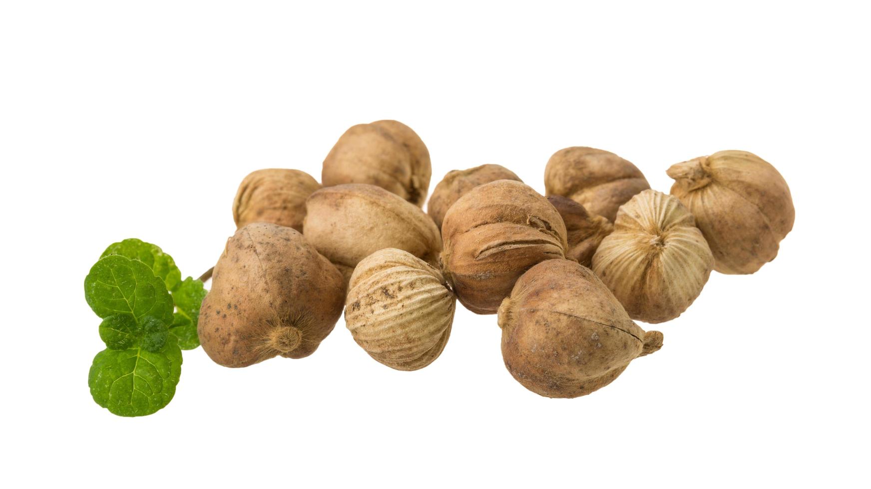 Cardamom on white background photo