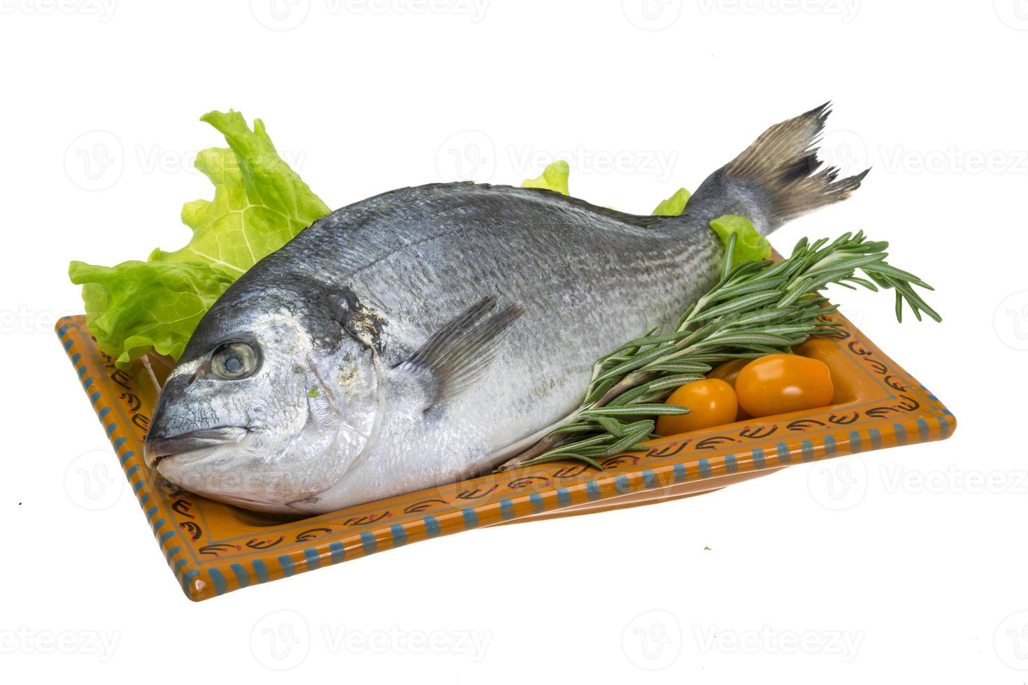 Raw dorado on the plate and white background photo