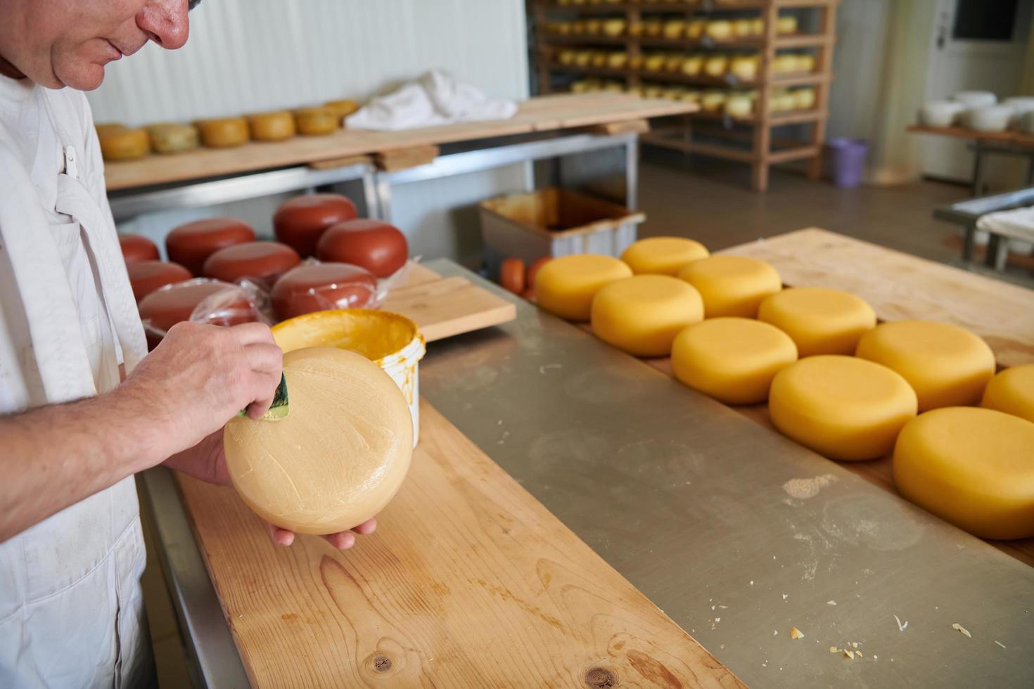 Cheese maker at local  production factory photo