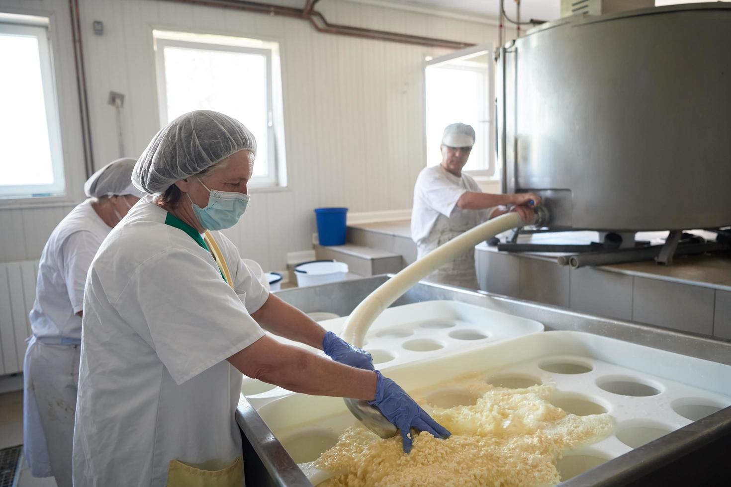trabajadores que preparan leche cruda para la producción de queso foto