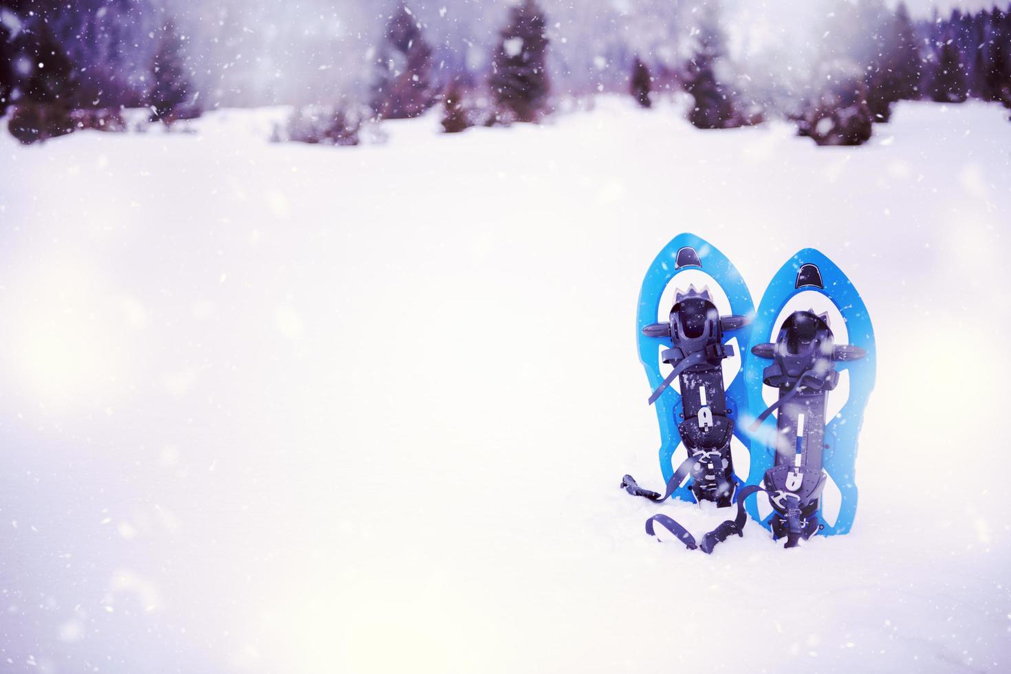 Blue snowshoes in fresh show photo