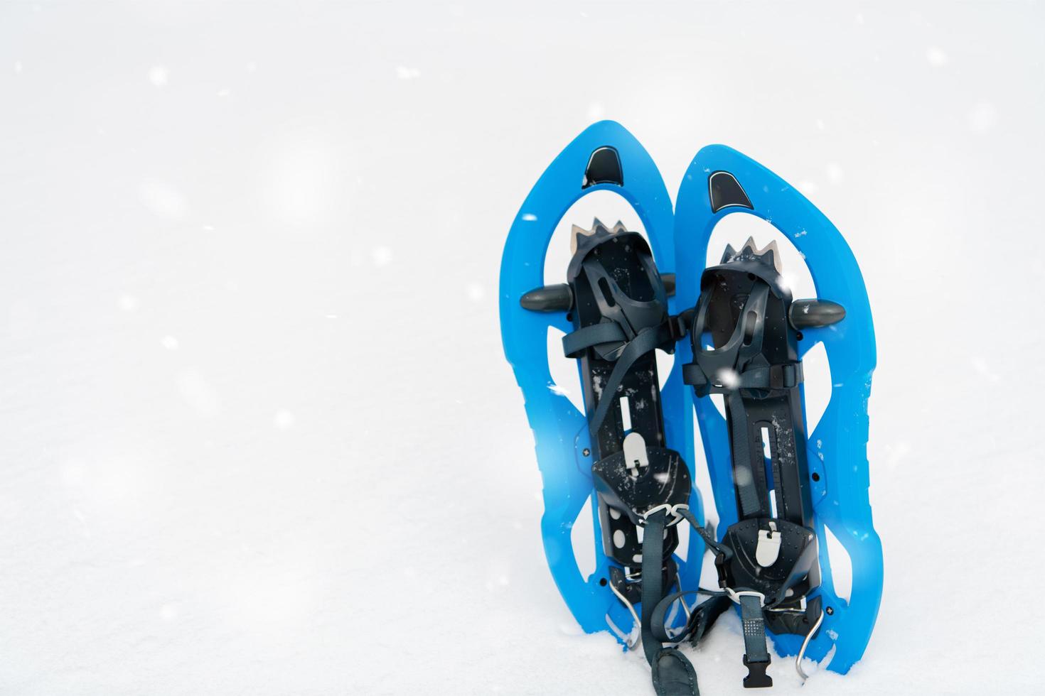 Blue snowshoes in fresh show photo