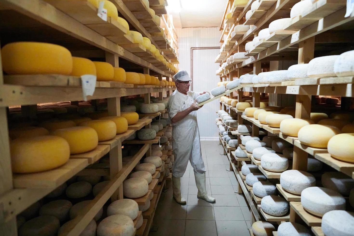 fabricante de queso en el almacenamiento con estantes llenos de queso de vaca y cabra foto