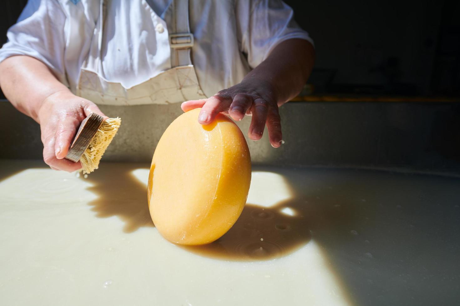 Workers preparing raw milk for cheese production photo