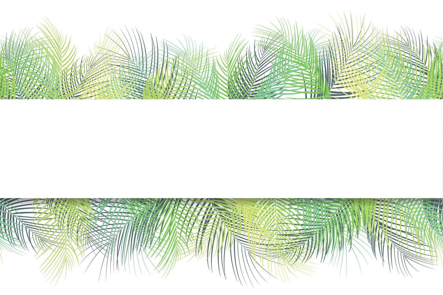 Tropical palm leaves background with horizontal banner on white background vector