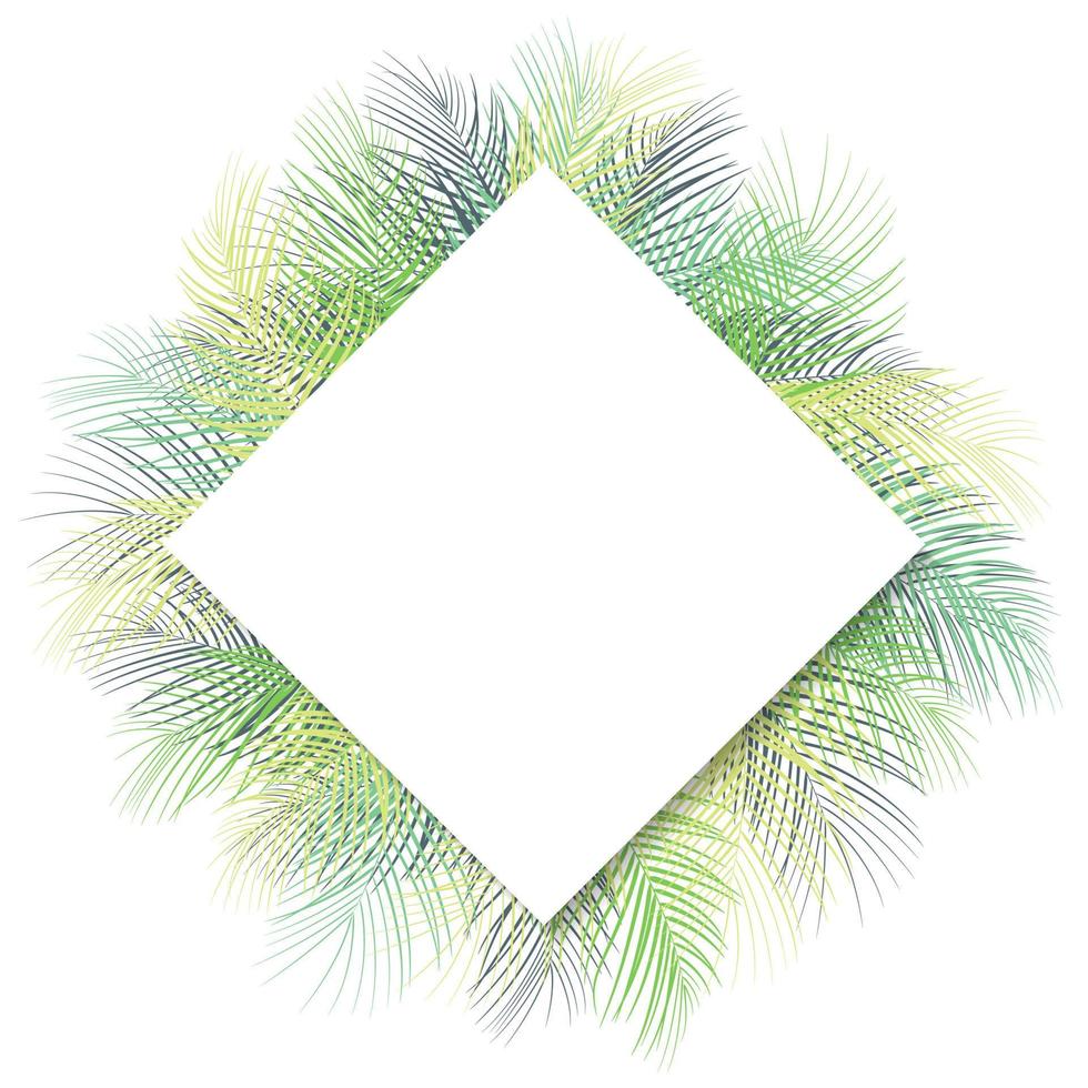 Tropical green palm leaves with white frame place for text isolated on white background vector