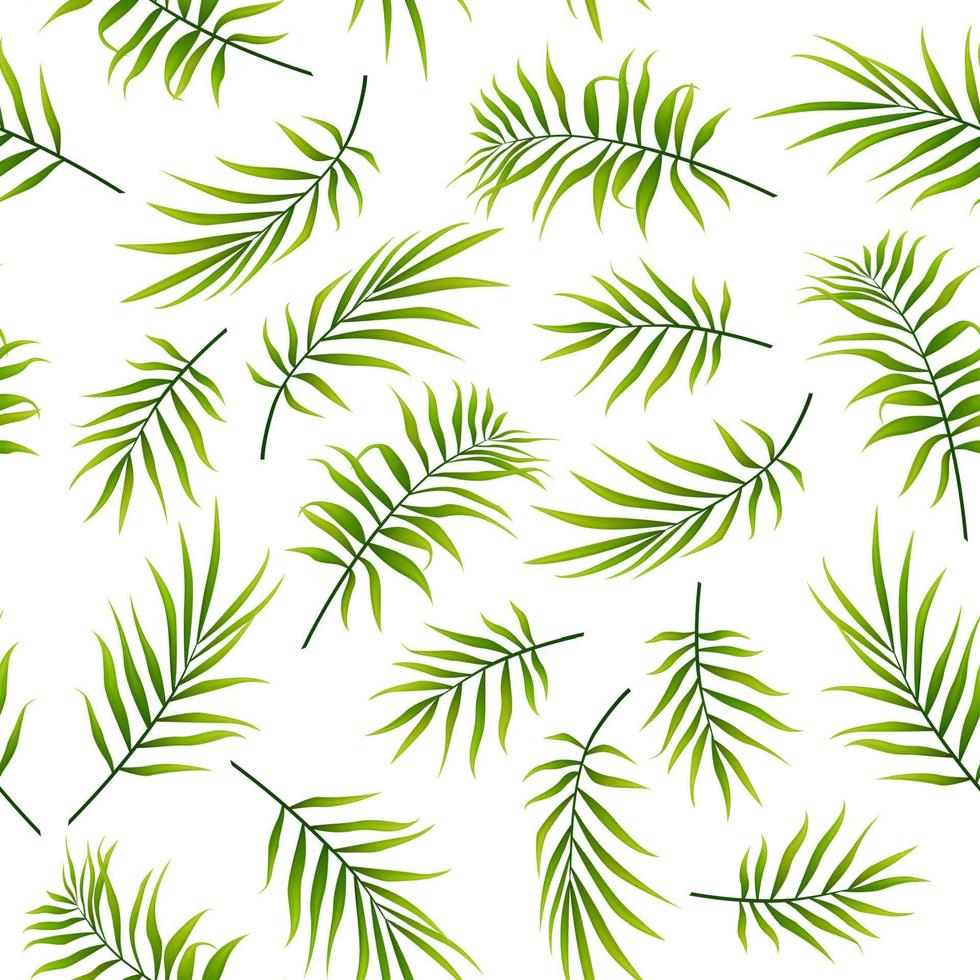 Seamless pattern with palm leaves background vector
